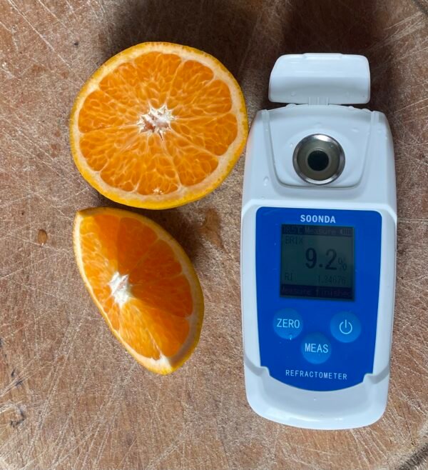 Oranger Ambersweet – Image 5
