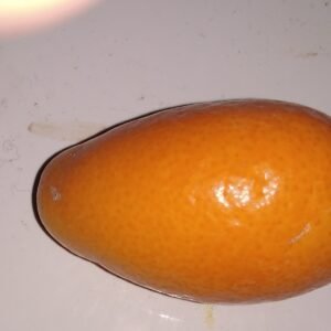 capture mode automodule faces